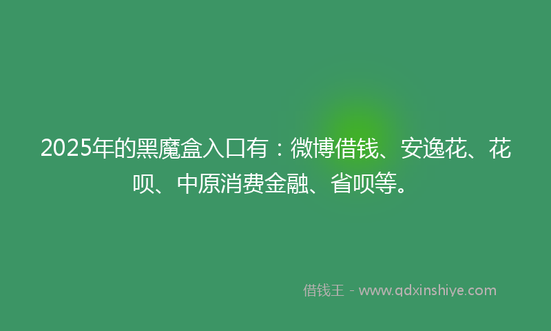 2025年的黑魔盒入口有：微博借钱、安逸花、花呗、中原消费金融、省呗等。