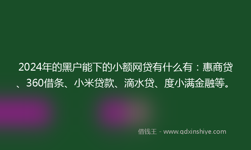 2024年的黑户能下的小额网贷有什么有：惠商贷、360借条、小米贷款、滴水贷、度小满金融等。