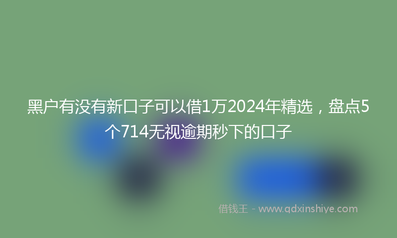 黑户有没有新口子可以借1万2024年精选，盘点5个714无视逾期秒下的口子