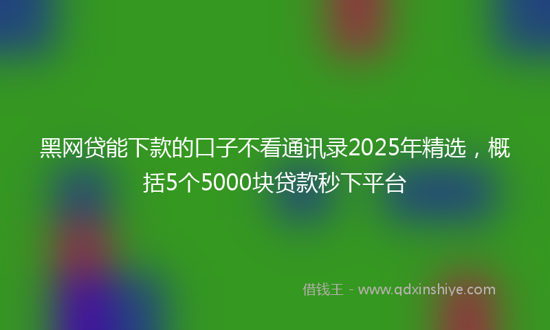 黑网贷能下款的口子不看通讯录2025年精选，概括5个5000块贷款秒下平台