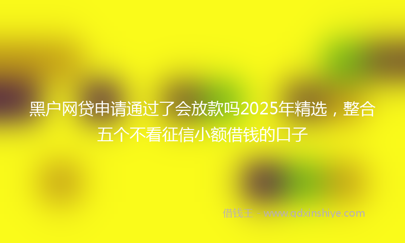 黑户网贷申请通过了会放款吗2025年精选，整合五个不看征信小额借钱的口子