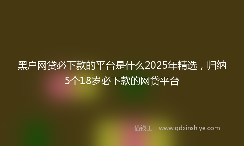 黑户网贷必下款的平台是什么2025年精选，归纳5个18岁必下款的网贷平台