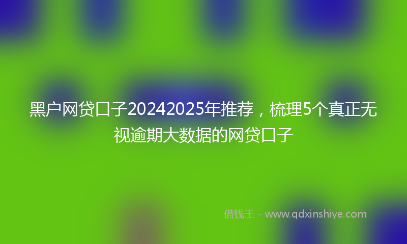 黑户网贷口子20242025年推荐，梳理5个真正无视逾期大数据的网贷口子