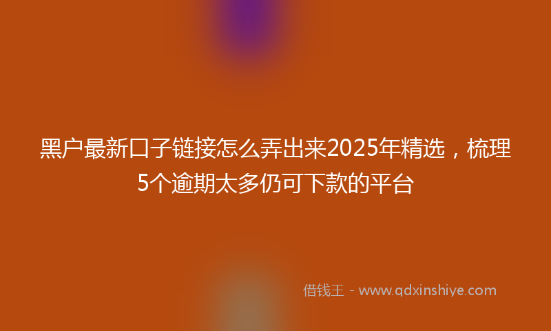 黑户最新口子链接怎么弄出来2025年精选，梳理5个逾期太多仍可下款的平台