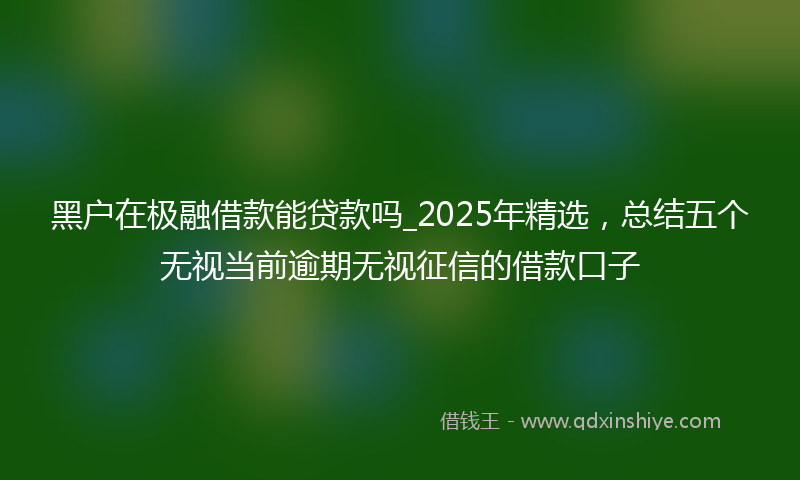 黑户在极融借款能贷款吗_2025年精选，总结五个无视当前逾期无视征信的借款口子