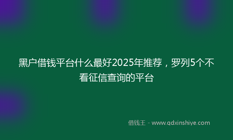 黑户借钱平台什么最好2025年推荐，罗列5个不看征信查询的平台