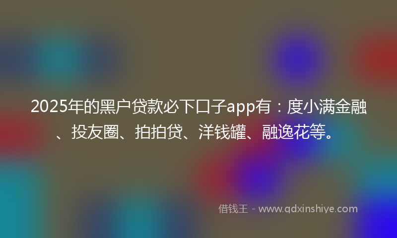 2025年的黑户贷款必下口子app有：度小满金融、投友圈、拍拍贷、洋钱罐、融逸花等。