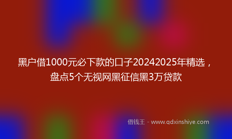 黑户借1000元必下款的口子20242025年精选，盘点5个无视网黑征信黑3万贷款