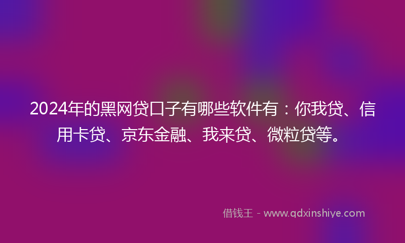 2024年的黑网贷口子有哪些软件有：你我贷、信用卡贷、京东金融、我来贷、微粒贷等。