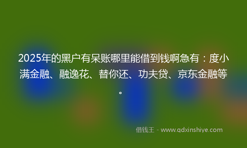 2025年的黑户有呆账哪里能借到钱啊急有：度小满金融、融逸花、替你还、功夫贷、京东金融等。