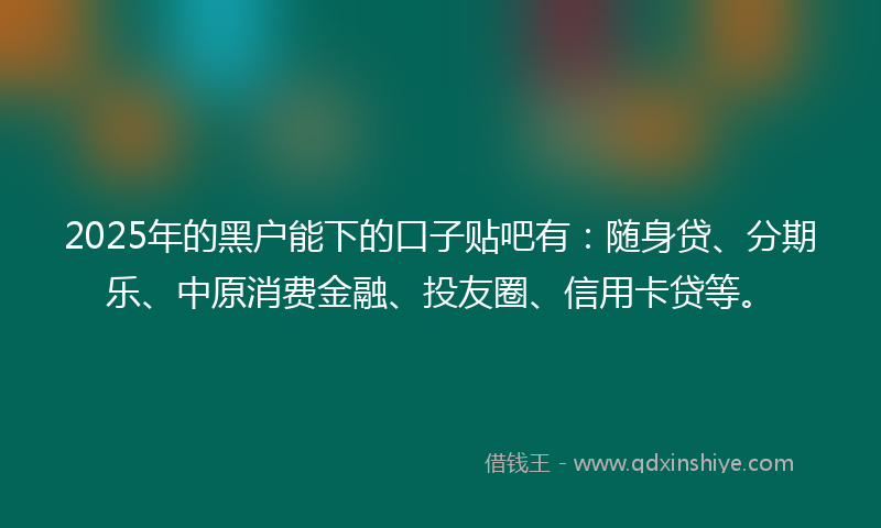 2025年的黑户能下的口子贴吧有：随身贷、分期乐、中原消费金融、投友圈、信用卡贷等。