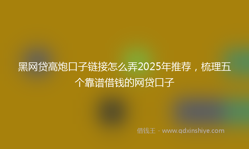 黑网贷高炮口子链接怎么弄2025年推荐，梳理五个靠谱借钱的网贷口子