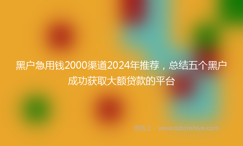 黑户急用钱2000渠道2024年推荐，总结五个黑户成功获取大额贷款的平台