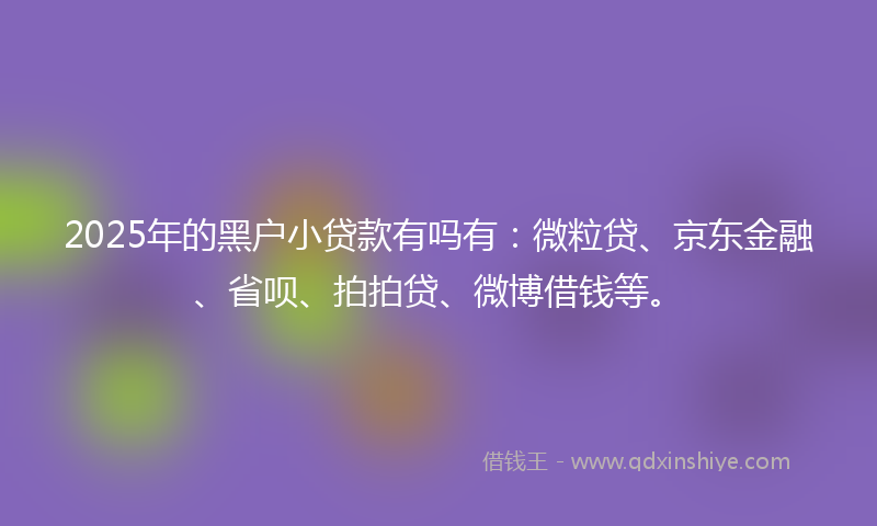 2025年的黑户小贷款有吗有：微粒贷、京东金融、省呗、拍拍贷、微博借钱等。