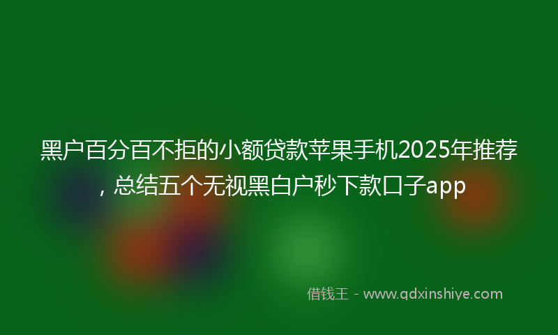黑户百分百不拒的小额贷款苹果手机2025年推荐，总结五个无视黑白户秒下款口子app