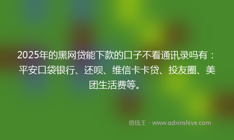 2025年的黑网贷能下款的口子不看通讯录吗有：平安口袋银行、还呗、维信卡卡贷、投友圈、美团生活费等。
