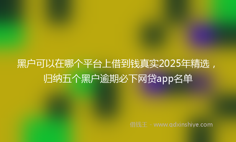 黑户可以在哪个平台上借到钱真实2025年精选，归纳五个黑户逾期必下网贷app名单