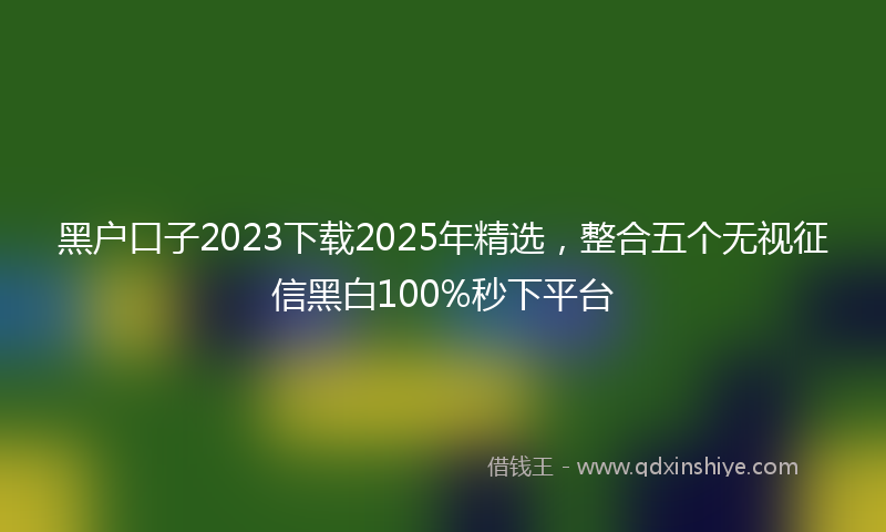 黑户口子2023下载2025年精选，整合五个无视征信黑白100%秒下平台