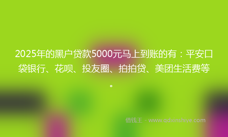 2025年的黑户贷款5000元马上到账的有：平安口袋银行、花呗、投友圈、拍拍贷、美团生活费等。