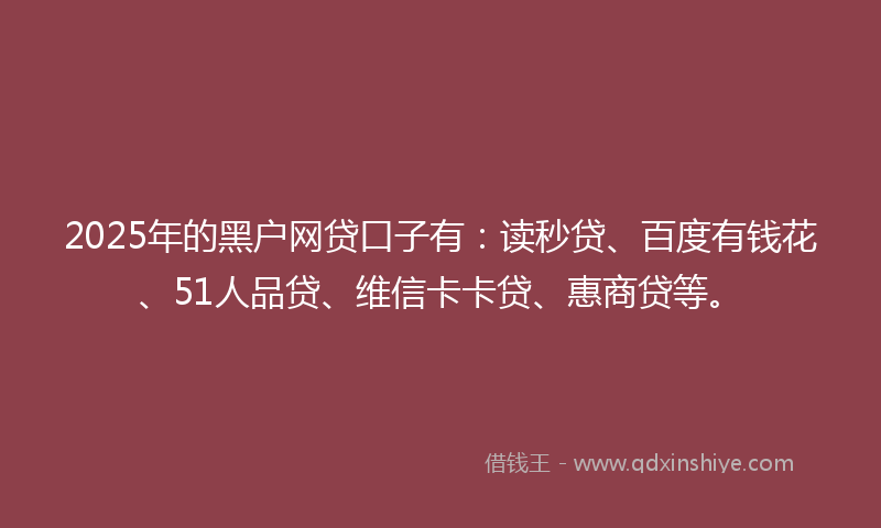 2025年的黑户网贷口子有：读秒贷、百度有钱花、51人品贷、维信卡卡贷、惠商贷等。