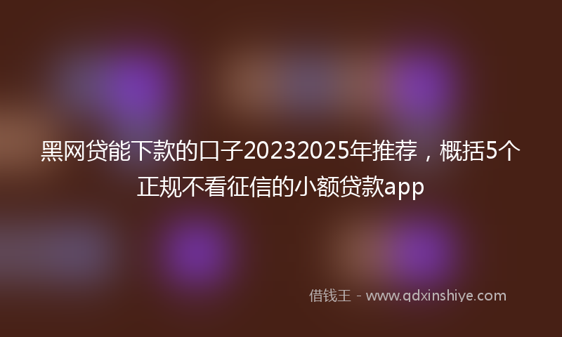 黑网贷能下款的口子20232025年推荐，概括5个正规不看征信的小额贷款app