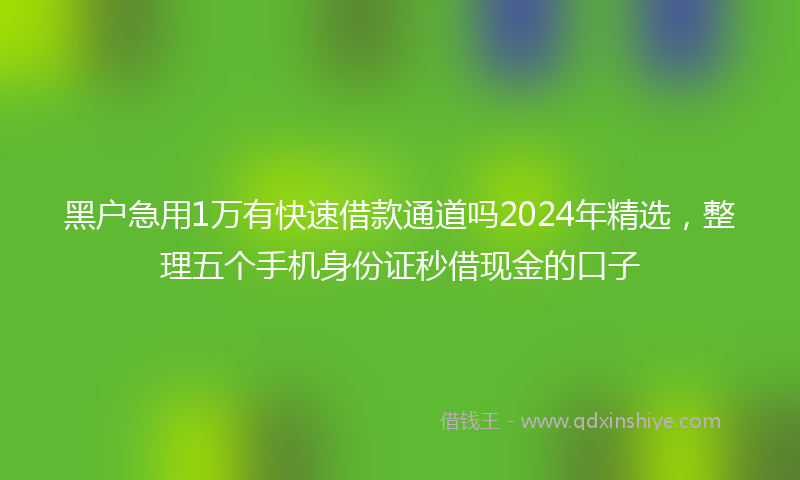 黑户急用1万有快速借款通道吗2024年精选，整理五个手机身份证秒借现金的口子