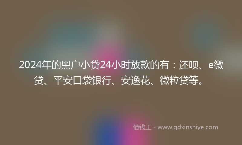 2024年的黑户小贷24小时放款的有：还呗、e微贷、平安口袋银行、安逸花、微粒贷等。
