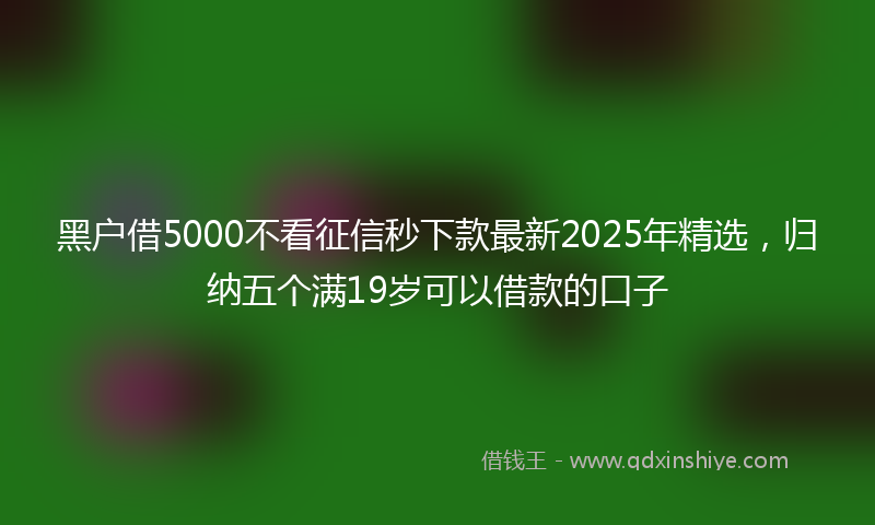 黑户借5000不看征信秒下款最新2025年精选，归纳五个满19岁可以借款的口子