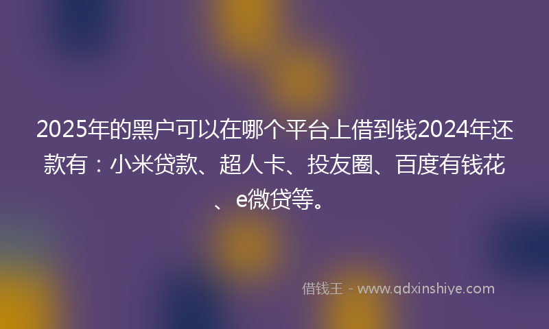 2025年的黑户可以在哪个平台上借到钱2024年还款有：小米贷款、超人卡、投友圈、百度有钱花、e微贷等。