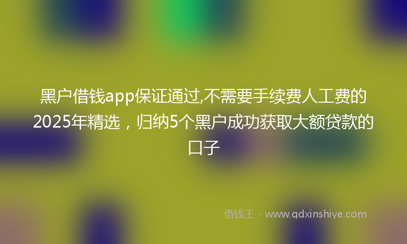 黑户借钱app保证通过,不需要手续费人工费的2025年精选，归纳5个黑户成功获取大额贷款的口子