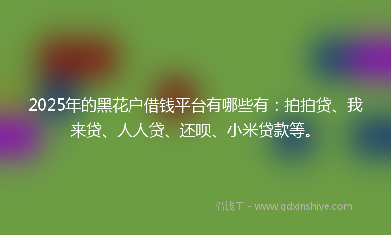 2025年的黑花户借钱平台有哪些有：拍拍贷、我来贷、人人贷、还呗、小米贷款等。