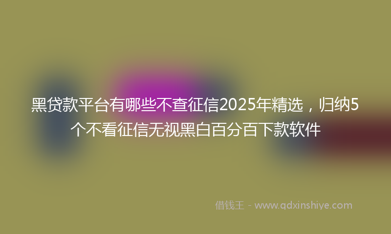 黑贷款平台有哪些不查征信2025年精选，归纳5个不看征信无视黑白百分百下款软件