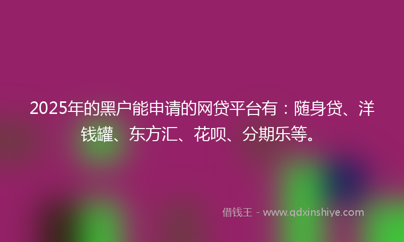 2025年的黑户能申请的网贷平台有：随身贷、洋钱罐、东方汇、花呗、分期乐等。
