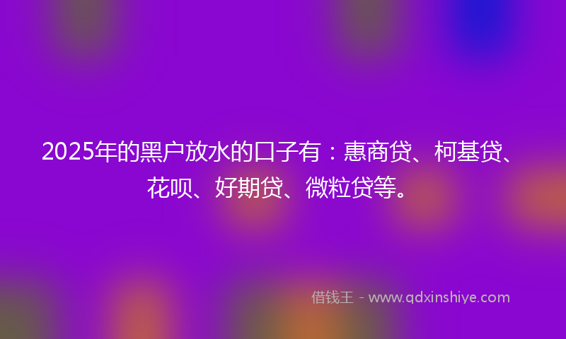 2025年的黑户放水的口子有：惠商贷、柯基贷、花呗、好期贷、微粒贷等。