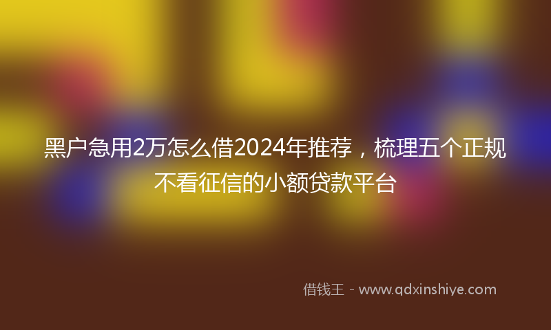 黑户急用2万怎么借2024年推荐，梳理五个正规不看征信的小额贷款平台