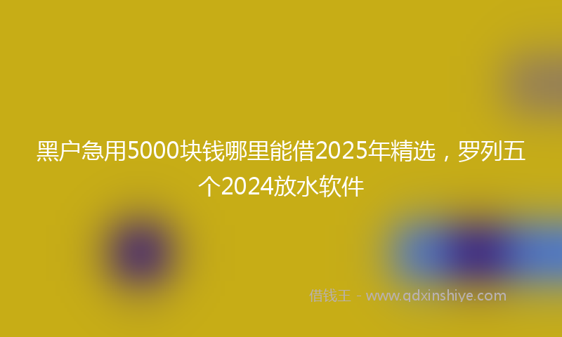 黑户急用5000块钱哪里能借2025年精选，罗列五个2024放水软件