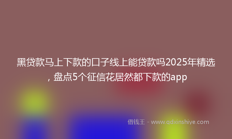 黑贷款马上下款的口子线上能贷款吗2025年精选，盘点5个征信花居然都下款的app