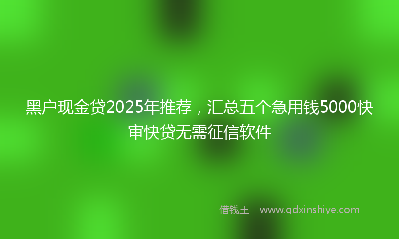 黑户现金贷2025年推荐，汇总五个急用钱5000快审快贷无需征信软件