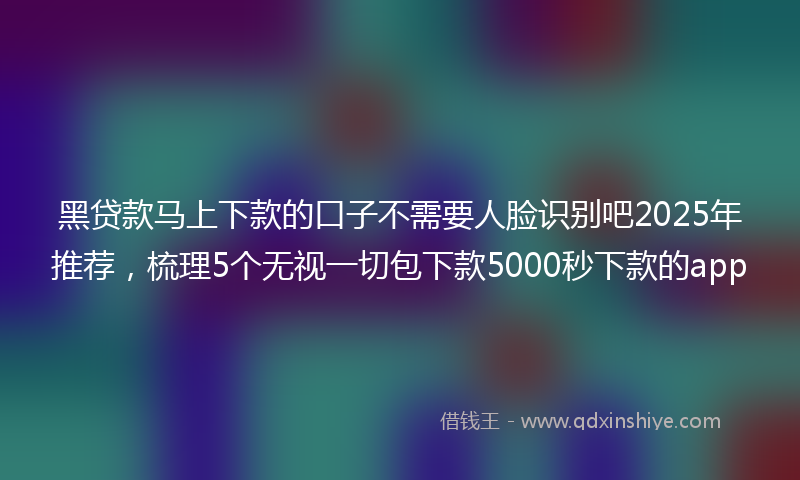 黑贷款马上下款的口子不需要人脸识别吧2025年推荐，梳理5个无视一切包下款5000秒下款的app