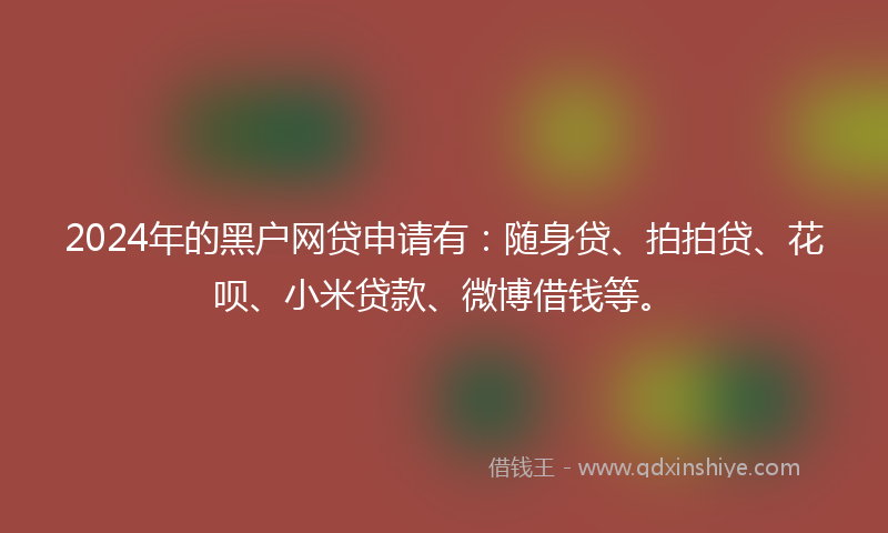 2024年的黑户网贷申请有：随身贷、拍拍贷、花呗、小米贷款、微博借钱等。