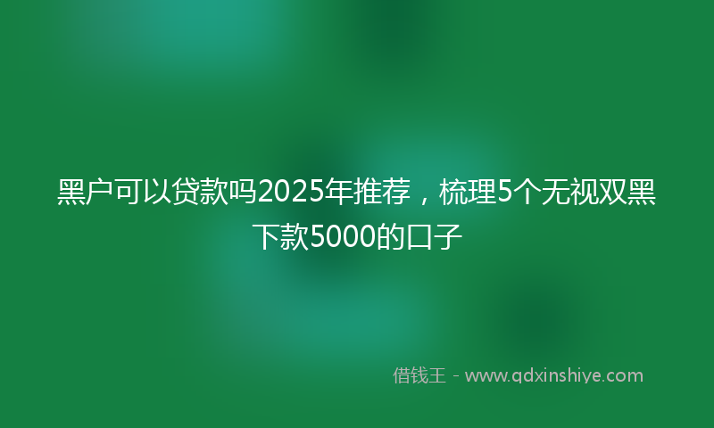 黑户可以贷款吗2025年推荐，梳理5个无视双黑下款5000的口子