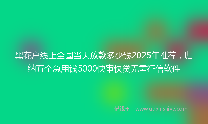 黑花户线上全国当天放款多少钱2025年推荐，归纳五个急用钱5000快审快贷无需征信软件