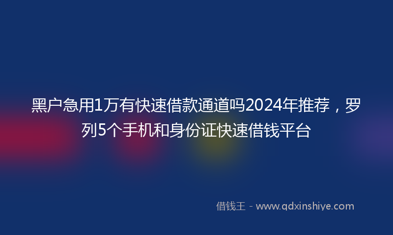黑户急用1万有快速借款通道吗2024年推荐，罗列5个手机和身份证快速借钱平台