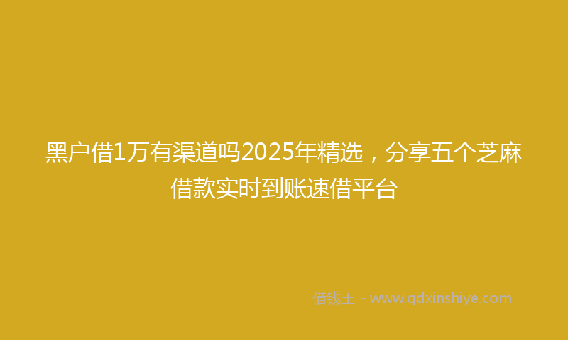 黑户借1万有渠道吗2025年精选，分享五个芝麻借款实时到账速借平台