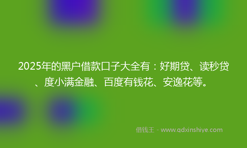 2025年的黑户借款口子大全有：好期贷、读秒贷、度小满金融、百度有钱花、安逸花等。