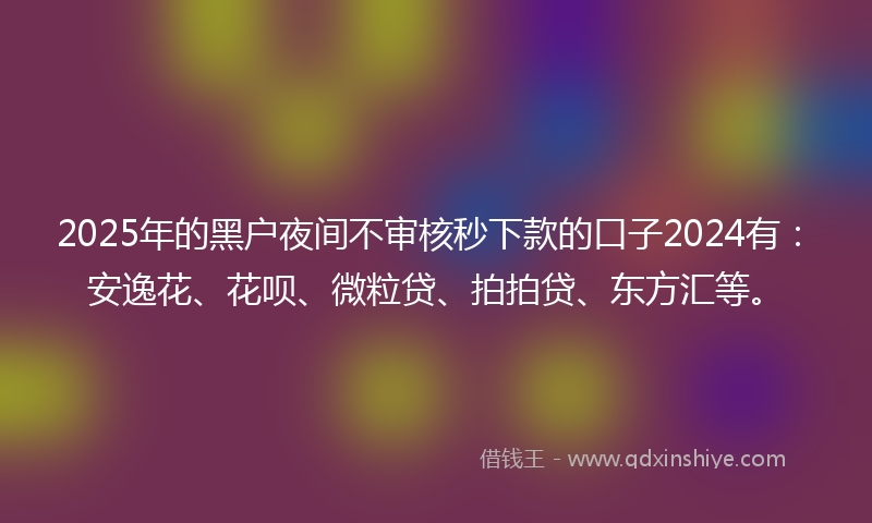 2025年的黑户夜间不审核秒下款的口子2024有：安逸花、花呗、微粒贷、拍拍贷、东方汇等。