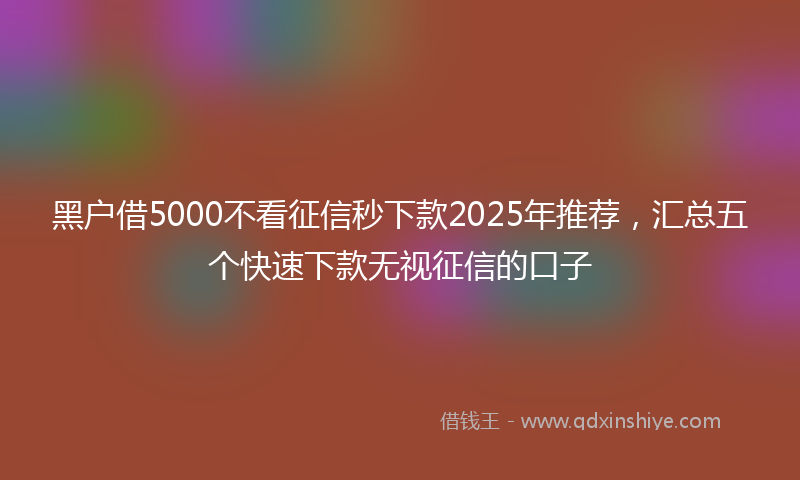 黑户借5000不看征信秒下款2025年推荐，汇总五个快速下款无视征信的口子