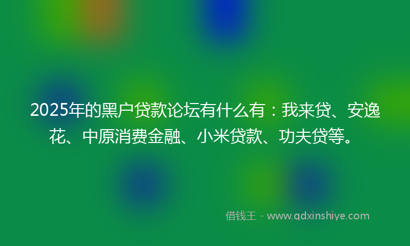 2025年的黑户贷款论坛有什么有：我来贷、安逸花、中原消费金融、小米贷款、功夫贷等。