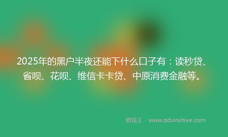 2025年的黑户半夜还能下什么口子有：读秒贷、省呗、花呗、维信卡卡贷、中原消费金融等。
