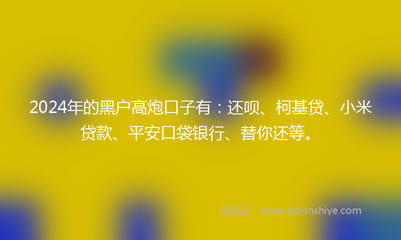 2024年的黑户高炮口子有：还呗、柯基贷、小米贷款、平安口袋银行、替你还等。
